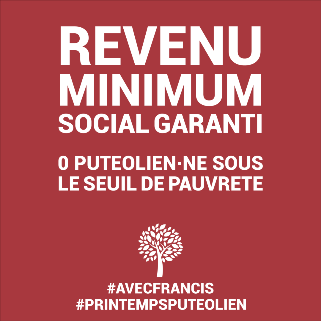 Revenu Minimum Social Garanti